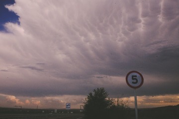 1000094441