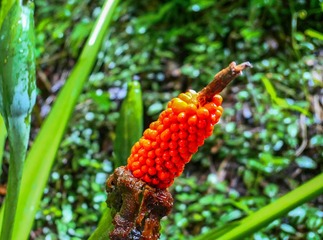 P1120807