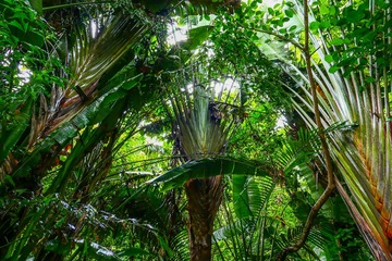 P1120802