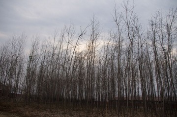IMGP4093.jpg