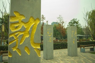 IMGP4125.jpg