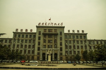 IMGP4166.jpg