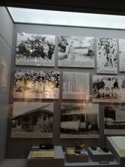 19273