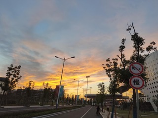 1000038390