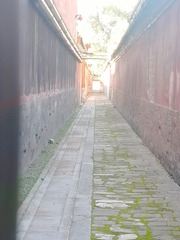 2051930