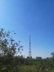 7059726