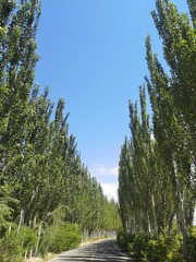 7026355