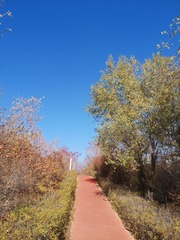 7163633