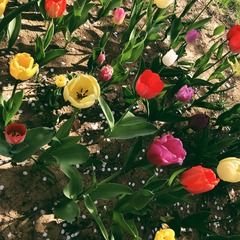 001
