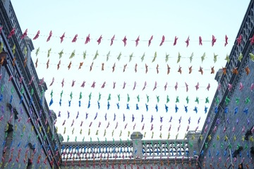 1000019953