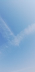 343779
