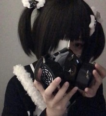 9529