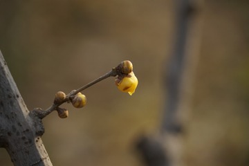 1256499