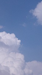 1000003616