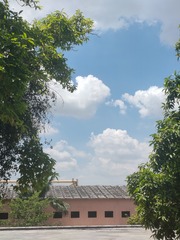 1000037297