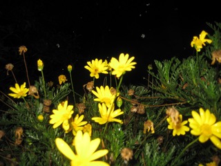0FC20111-9A13-4FA2-90B4-8DBDD0F8BD5F/L0/001