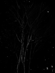 AB4B7942-9928-4EAE-8A23-53734E2155A9/L0/001