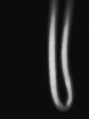 00782289-9782-4F0B-9C00-64A76F191010/L0/001