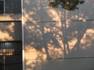 1000074901