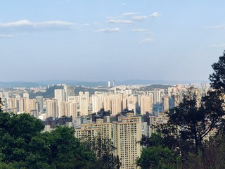 1000026472