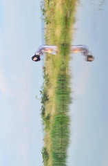 001