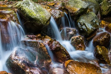 _DSC2252