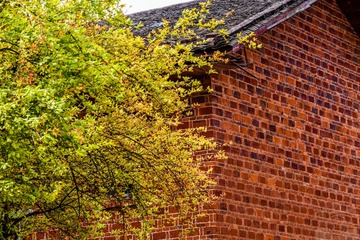 _DSC9615