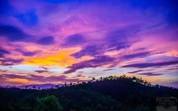_DSC1439
