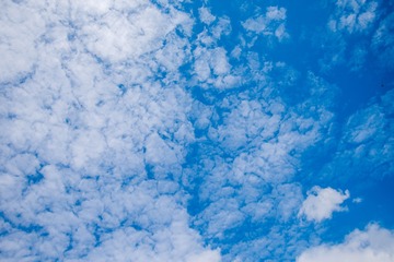 _DSC8952