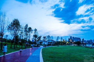 _DSC1885