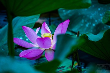 _DSC7357