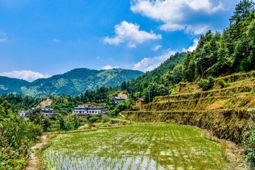 _DSC5572