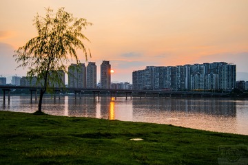 _DSC2621