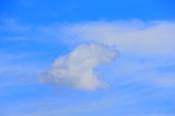 _DSC9392