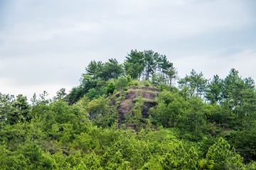 _DSC1113