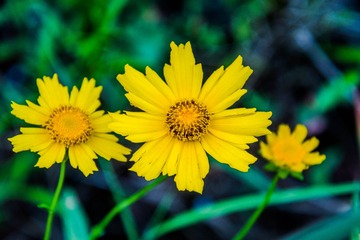 _DSC8081