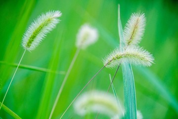 _DSC0599