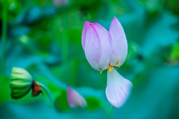 _DSC0171