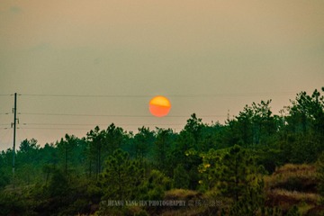 _DSC1397