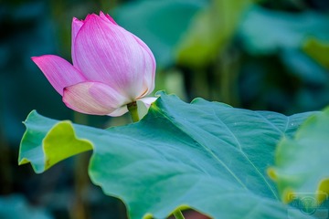 _DSC7678