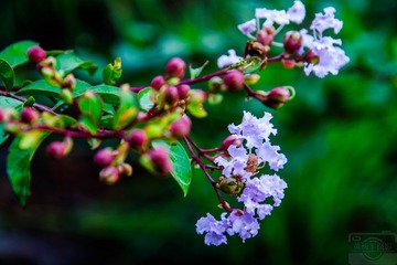 _DSC7584