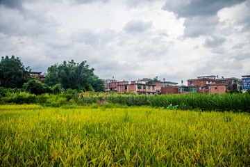 _DSC0143