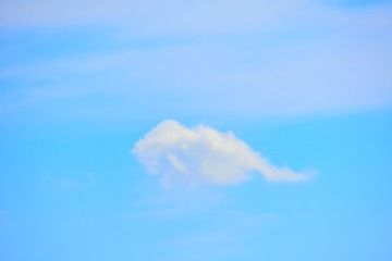 _DSC9390