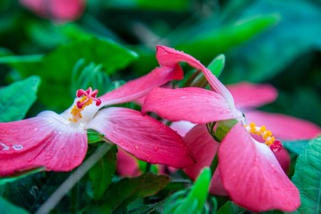 _DSC8132
