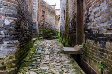 _DSC0075