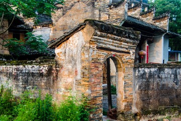 _DSC5884