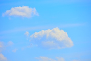 _DSC9391