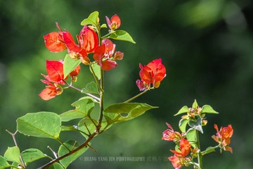 _DSC1608