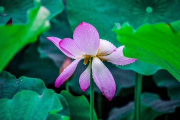 _DSC6585