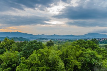 _DSC7909